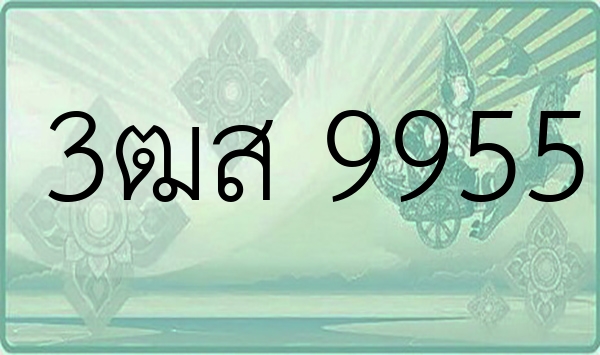3ฒส 9955